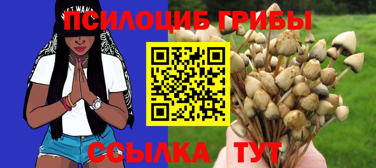 Заводоуковск  Галлюциногенные грибы Cubensis  Псилоцибиновые грибы Psilocybe  Вход с VPN 